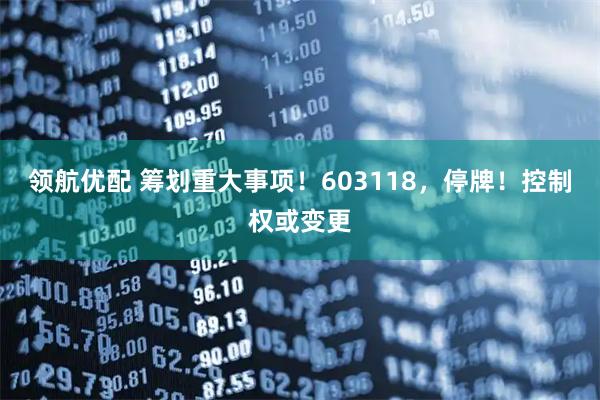 领航优配 筹划重大事项!603118,停牌!控制权或变更
