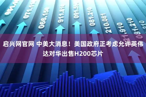 启兴网官网 中美大消息！美国政府正考虑允许英伟达对华出售H200芯片